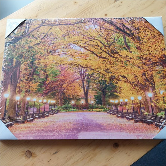 Weltbild LED-Wandbild "Herbstweg"